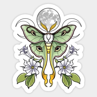 Luna moth with Datura Sticker